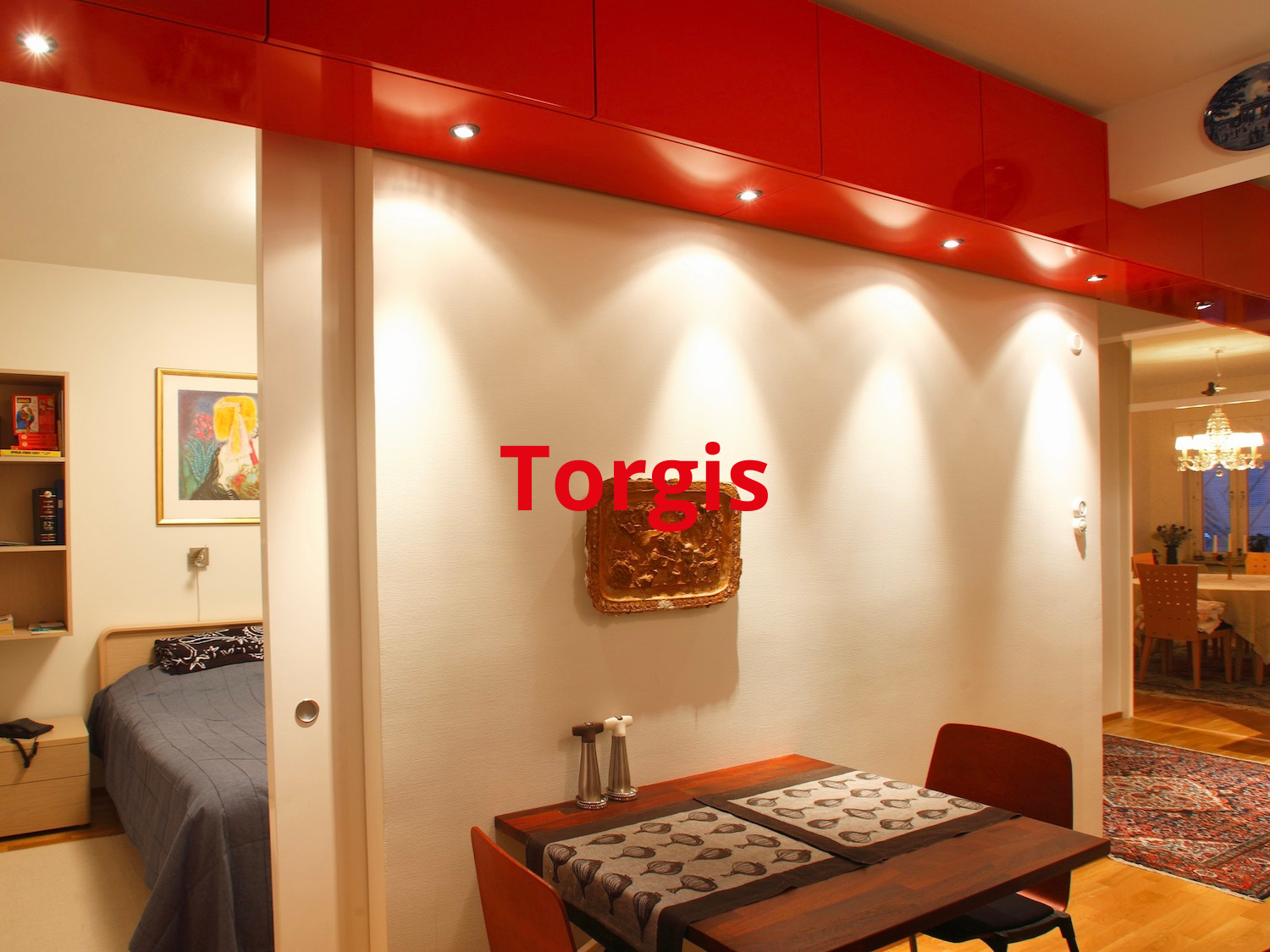 TORGIS