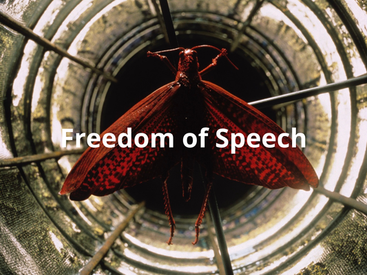 FREEDOM OF SPEECH