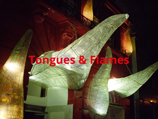 TONGUES AND FLAMES