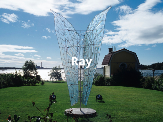 RAY