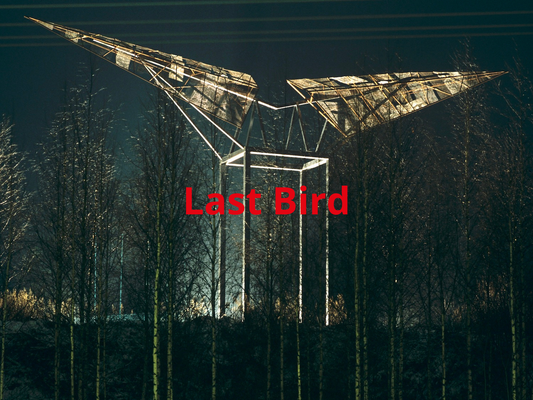 LAST BIRD