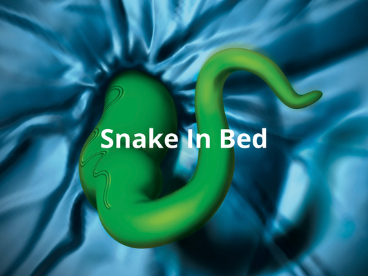 Snake In Bed